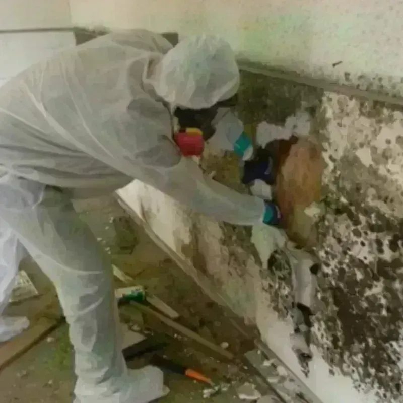 Mold Remediation and Removal in Manitowoc, WI