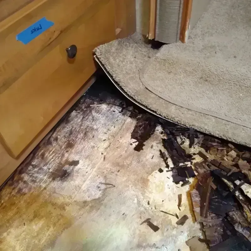 Best Wood Floor Water Damage Service in Manitowoc, WI